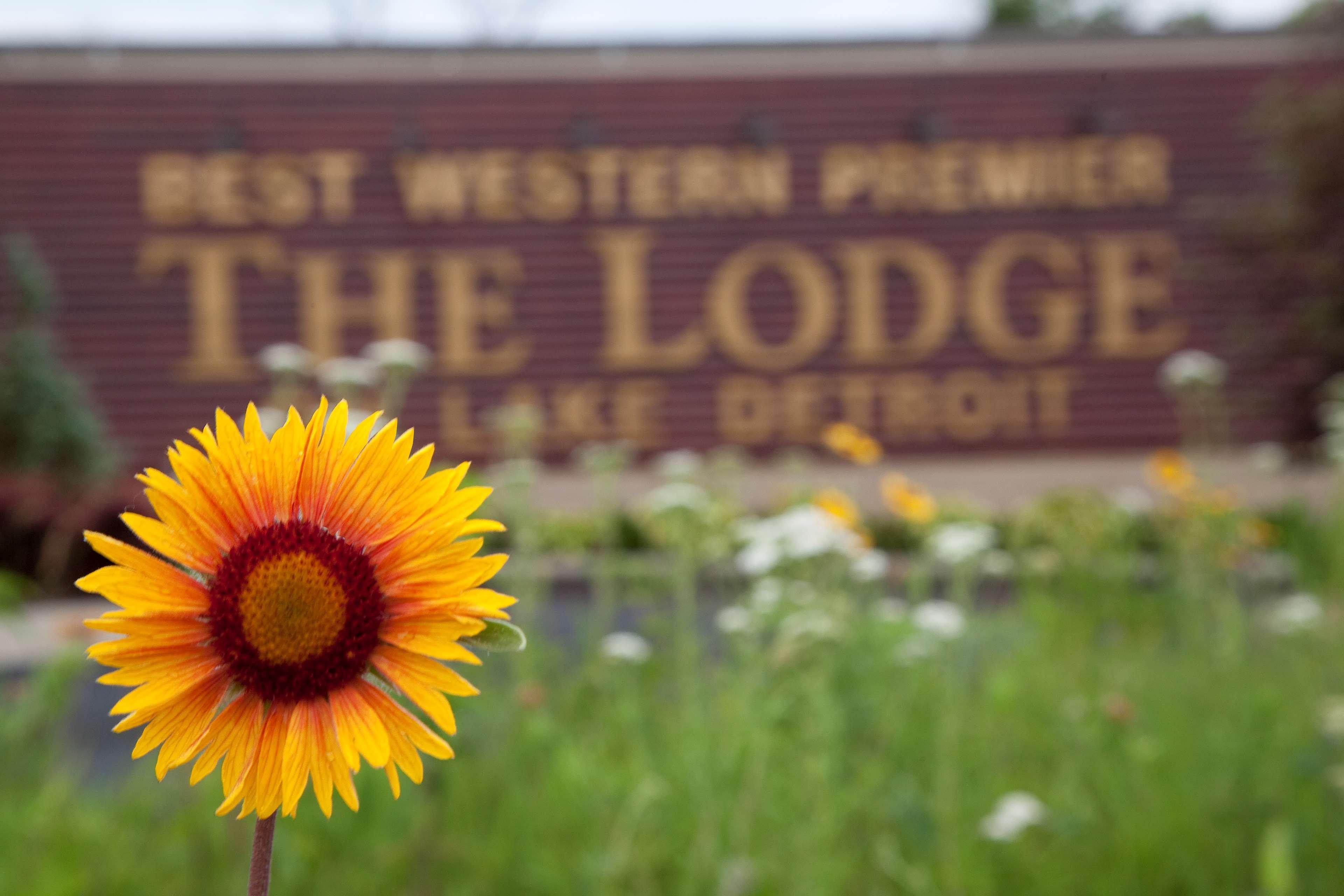 Best Western Premier The Lodge On Lake Detroit Detroit Lakes Dış mekan fotoğraf